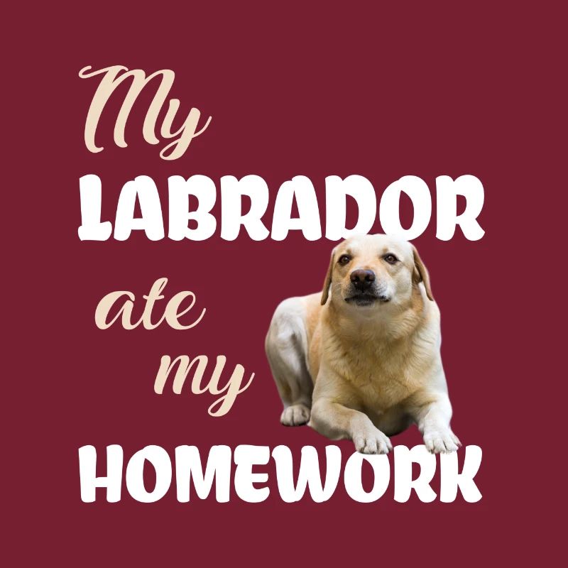 Devoirs du Labrador