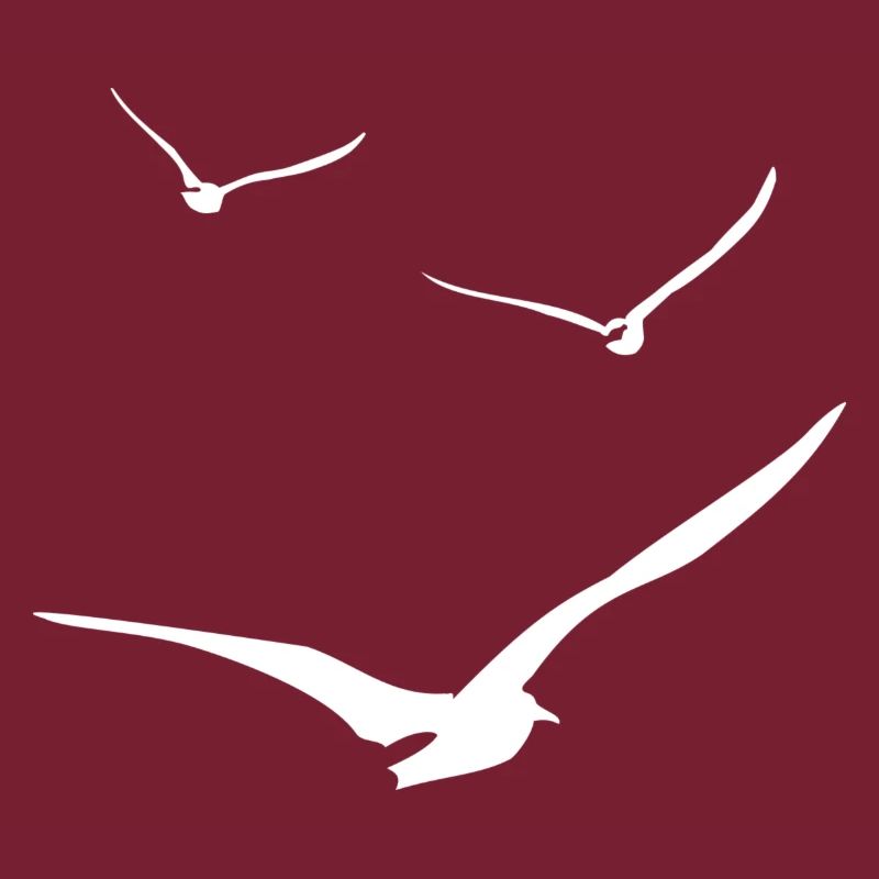 vol de mouettes