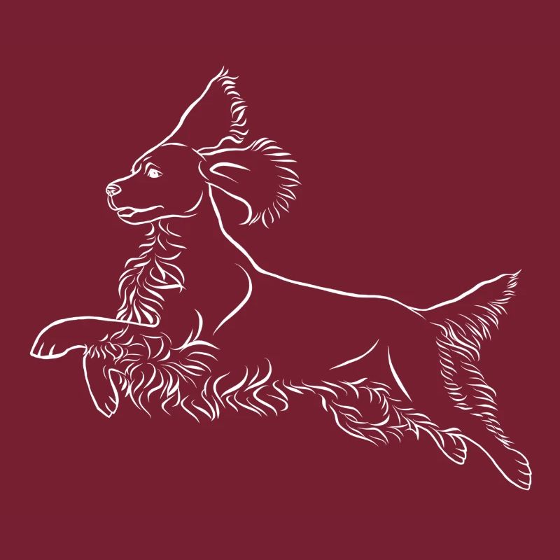 Springer Spaniel