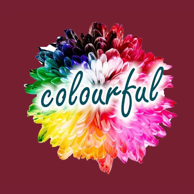 Regenbogenblume Farbexplosion