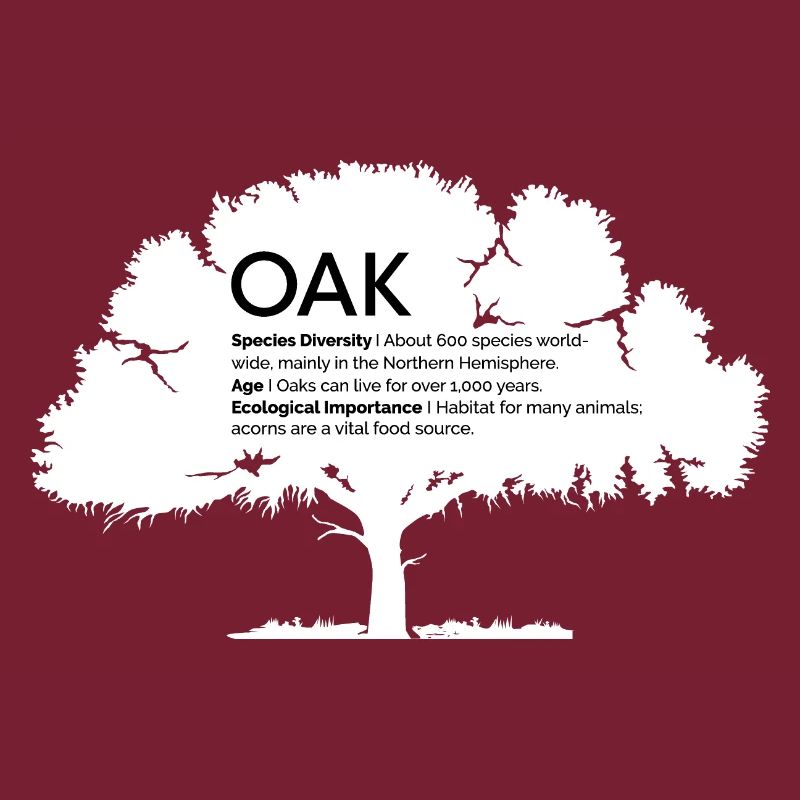 OAK Oaks with Information Nature Conservation Tree Forest