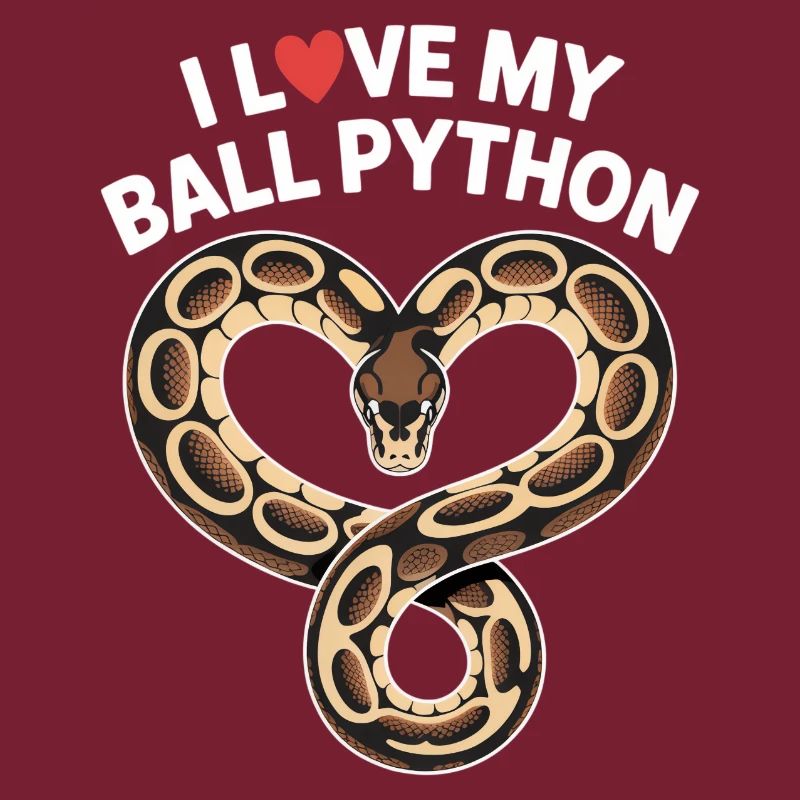 J’adore mon python royal ! Roi python