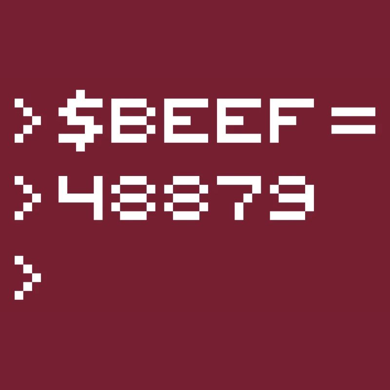BEEF 8-bit Code Nerd Pixel Terminal Rétro