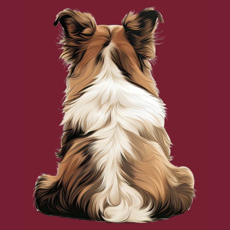 Shetland Schäferhund