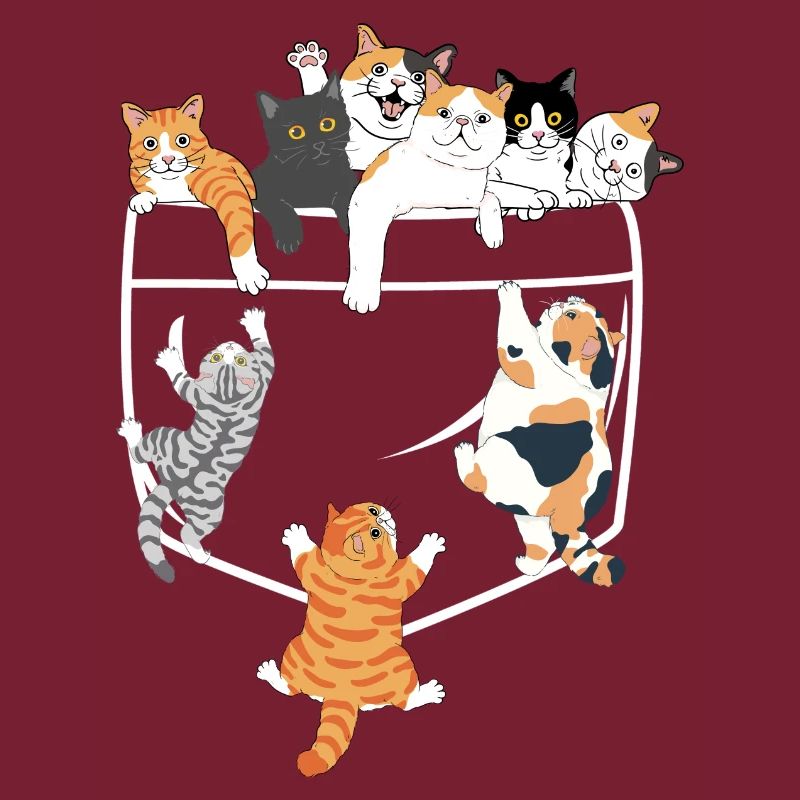 Süße Katzen klettern - originelle Geschenkidee