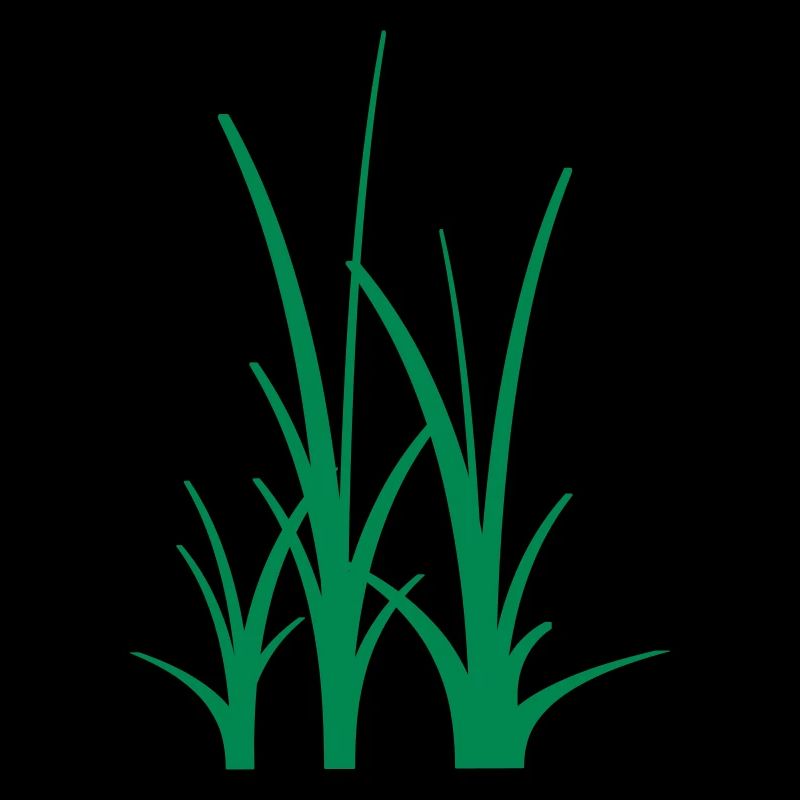 Binary Gras