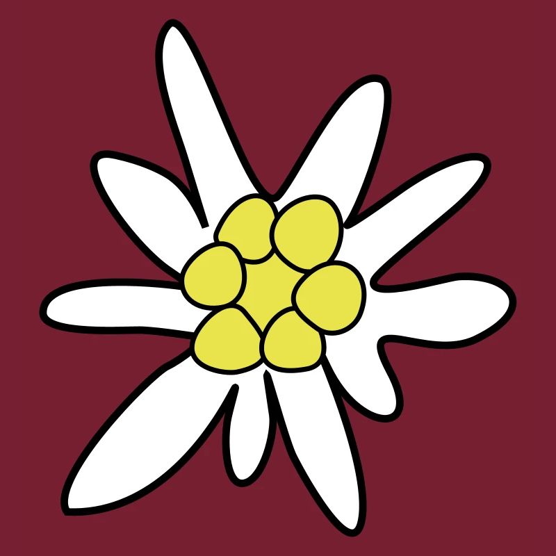 Edelweiss