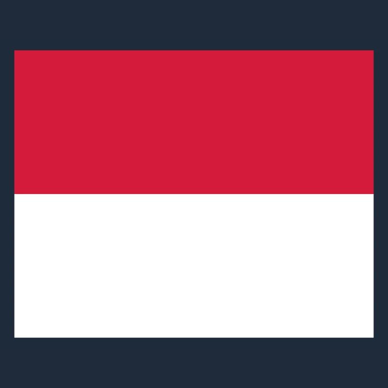 Monaco flag / Drapeau Monaco