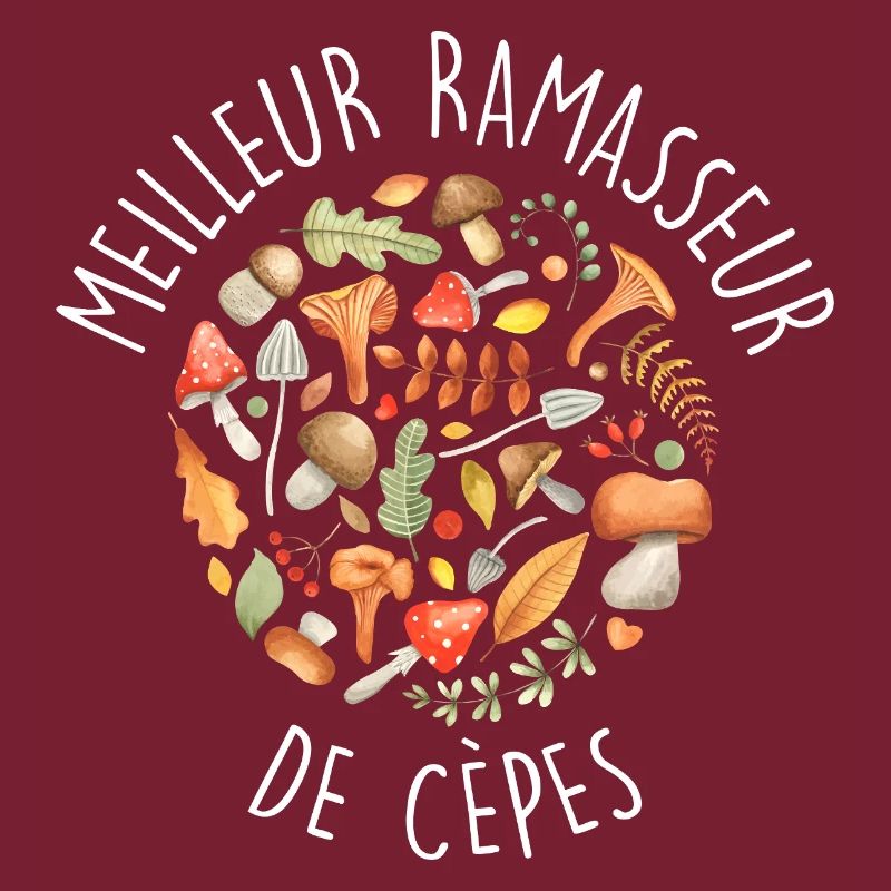 Cèpe Champignons champignon Ramasseur Cueillette