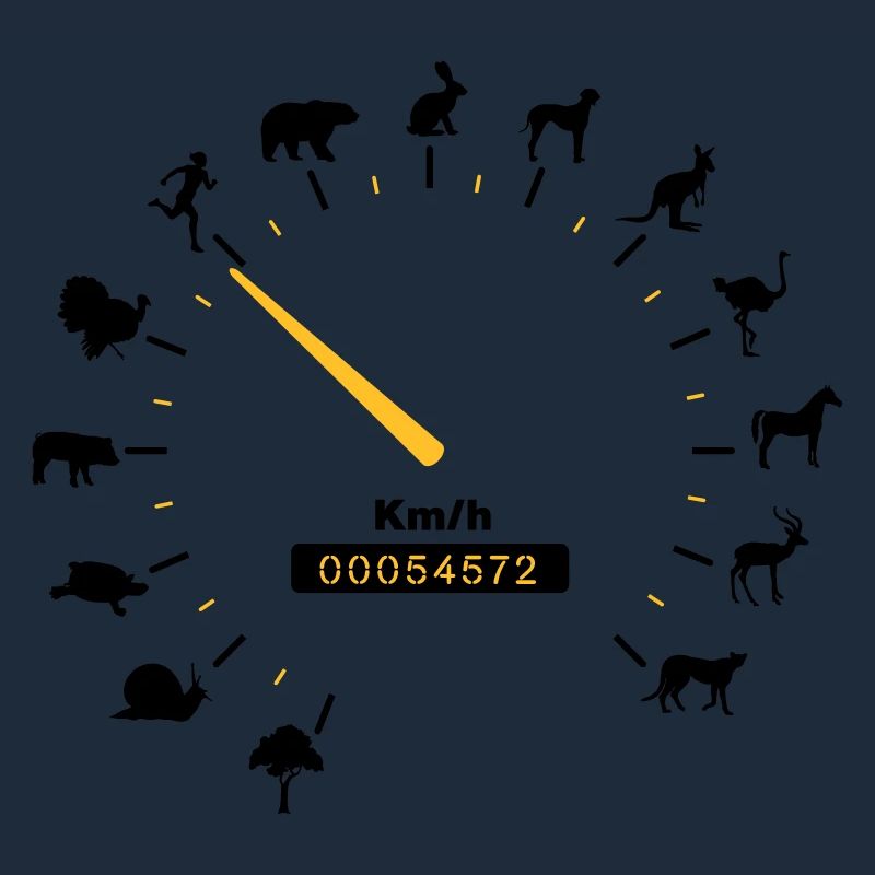 tachometer