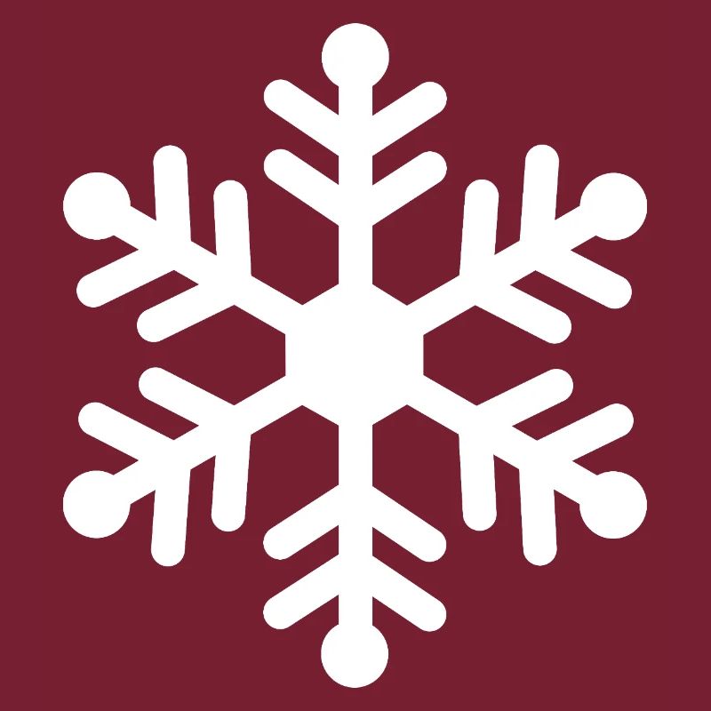 Winter Snowflake Silhouette