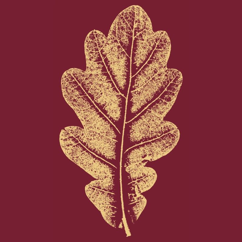 Eichenblatt - Khaki- Blatt/ Eiche/ Baum