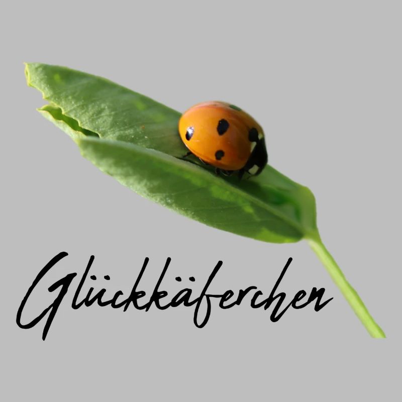 Lucky Beetle Ladybug Lucky Charm