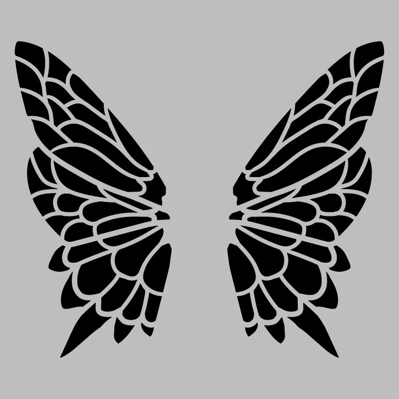 Wing from the butterfly