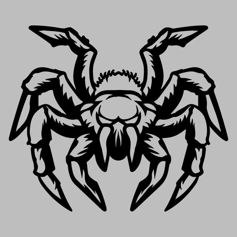spider
