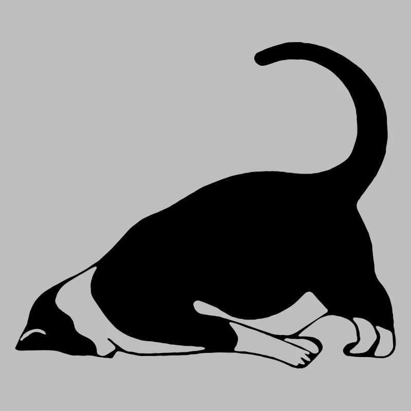 Sleeping cat