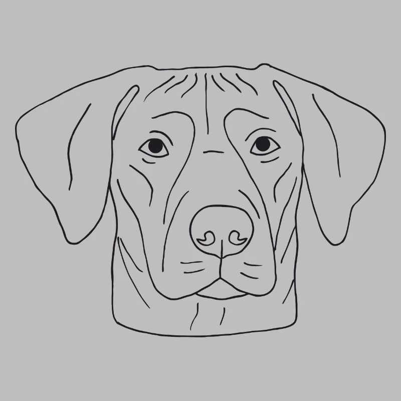 Rhodesian Ridgeback