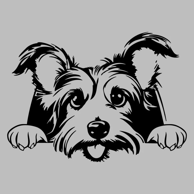 Little Terrier