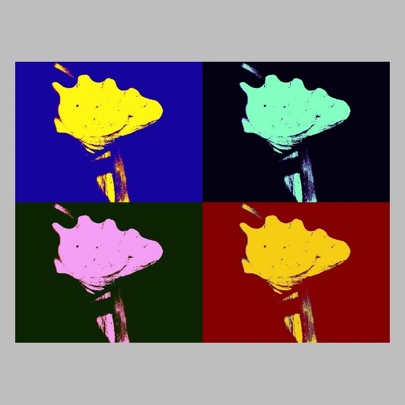 Shell Imagination