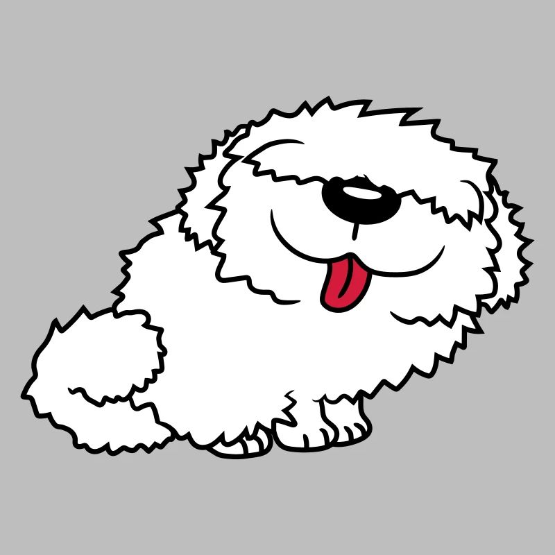 Bobtail drôle