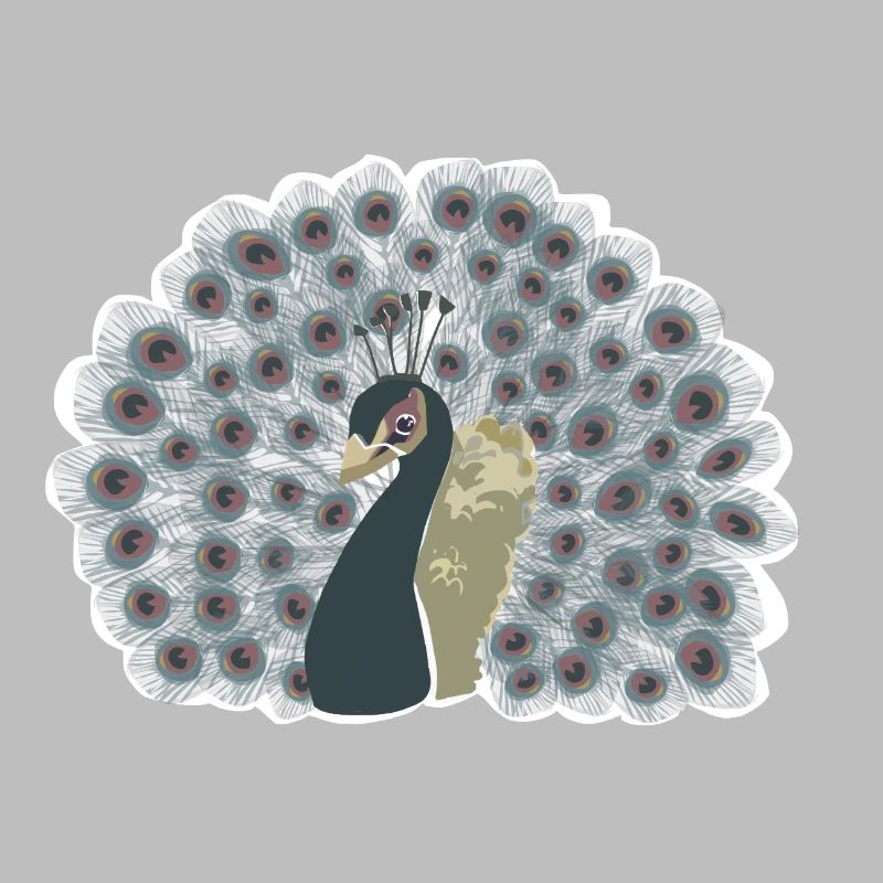 Peacock with wheel