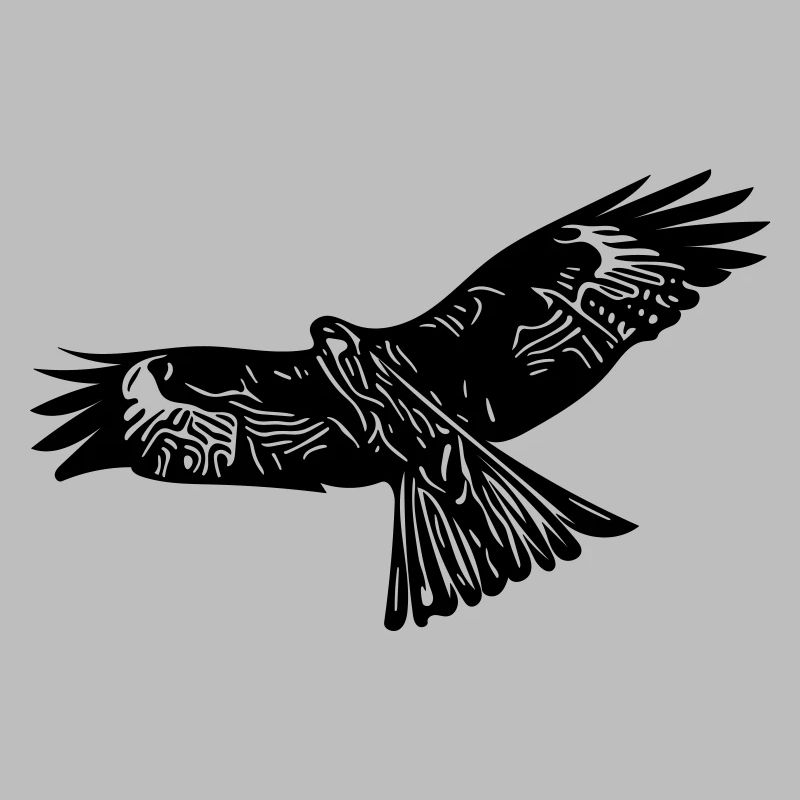 aigle