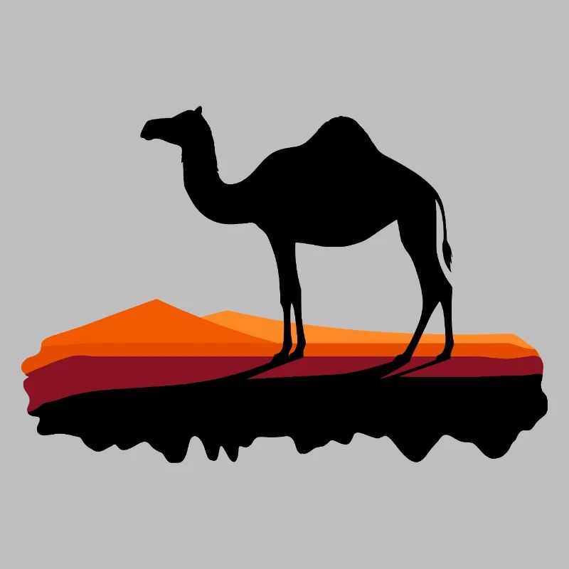 Dromedary in the evening light
