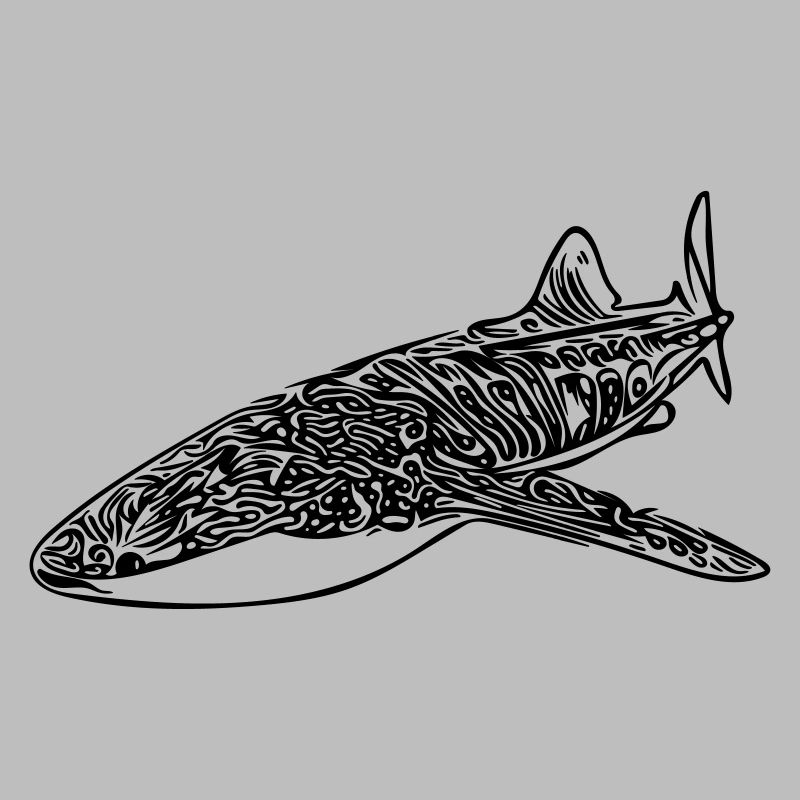 Whale Shark