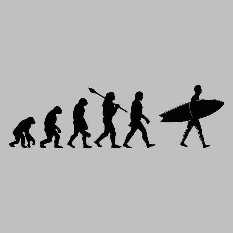 Surfen Evolution