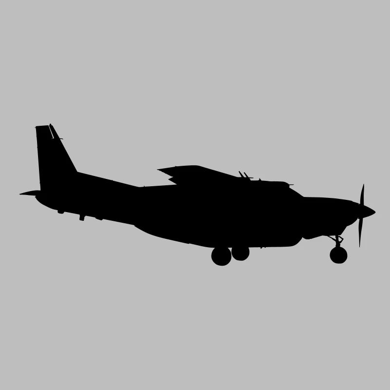 Avion