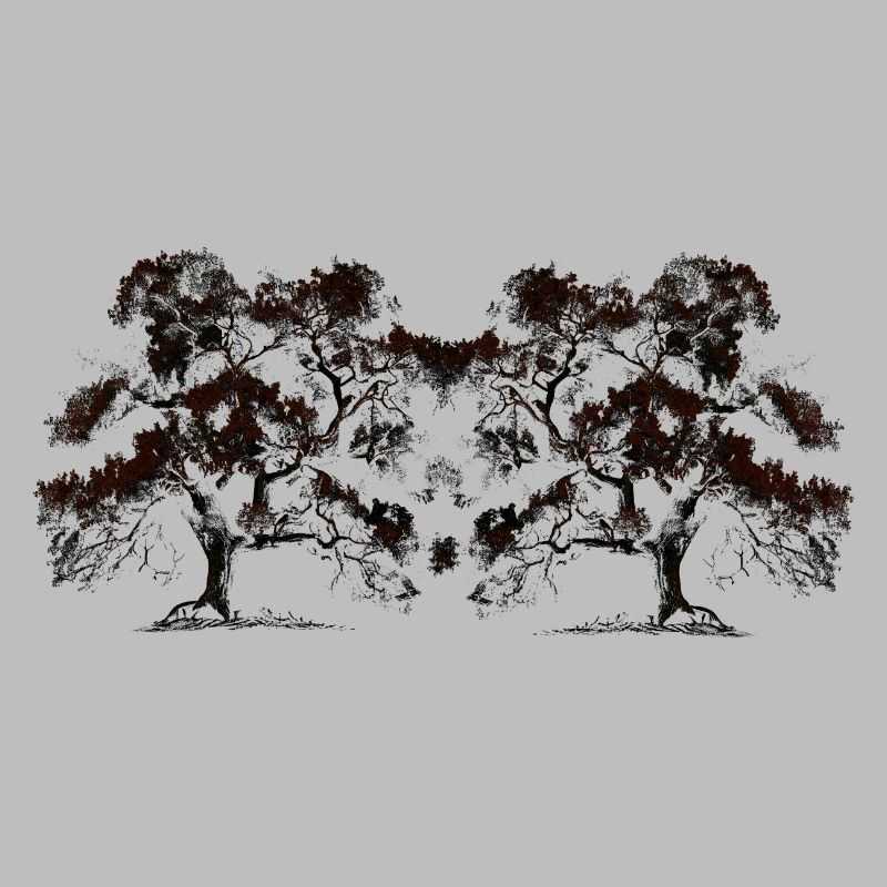 Tree, Trees, Botany, Flora, Forest, Nature