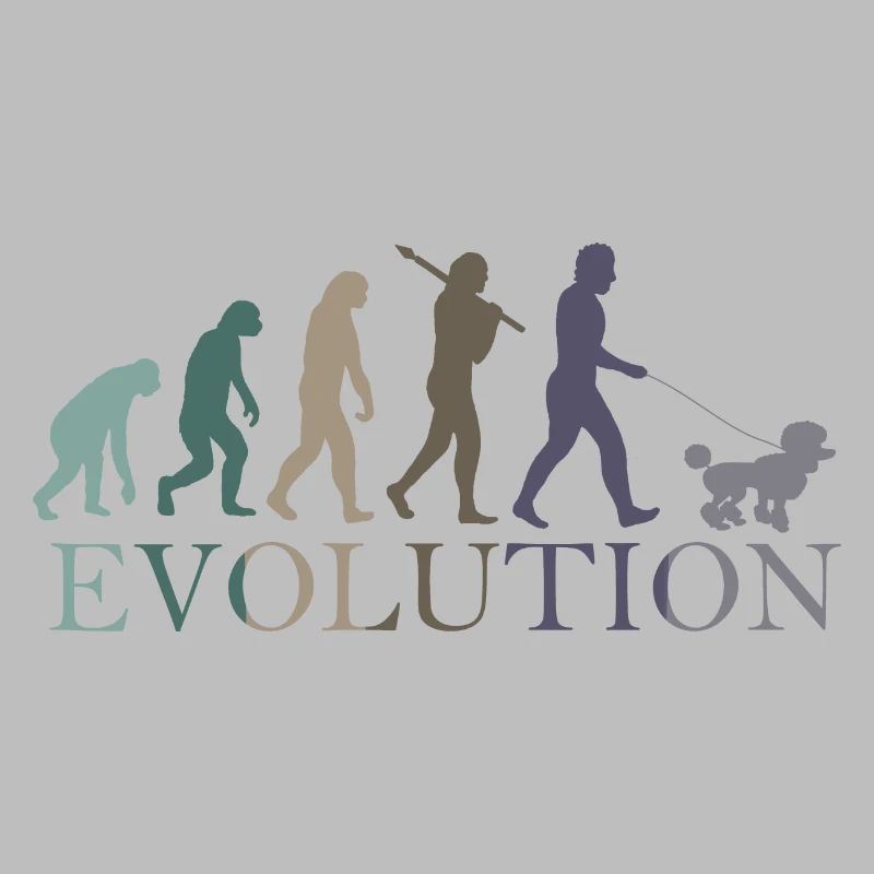 EVOLUTION POODLE
