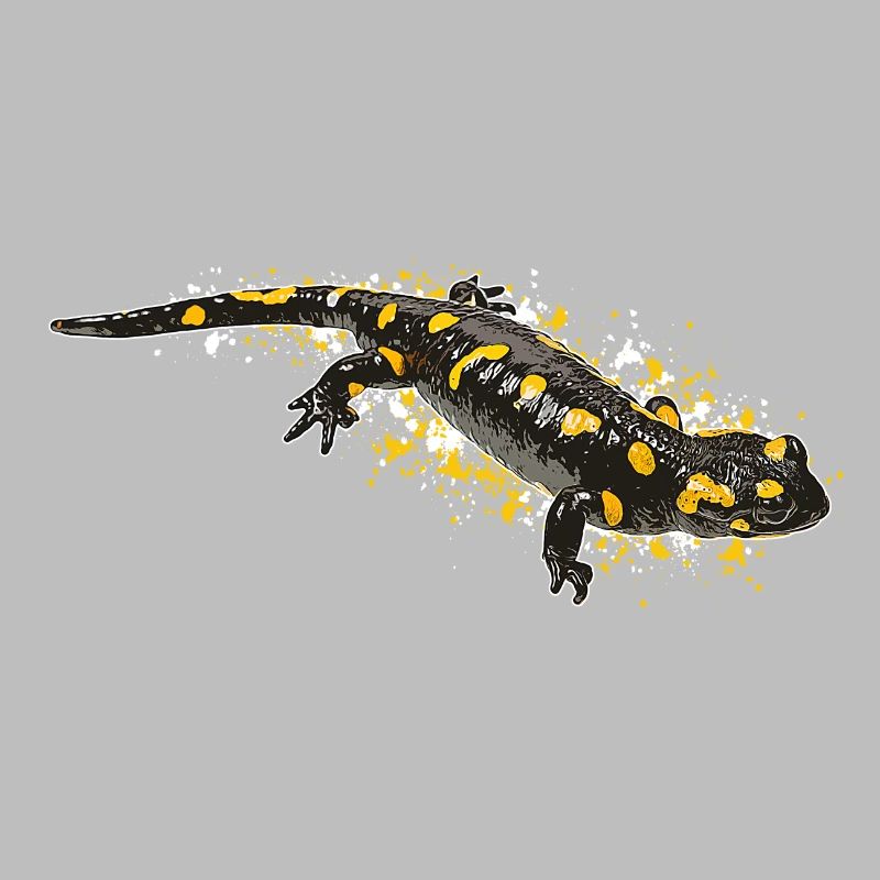 Fire Salamander Salamander