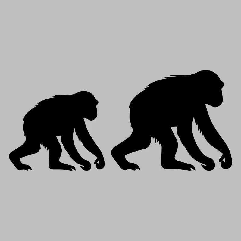 monkeys