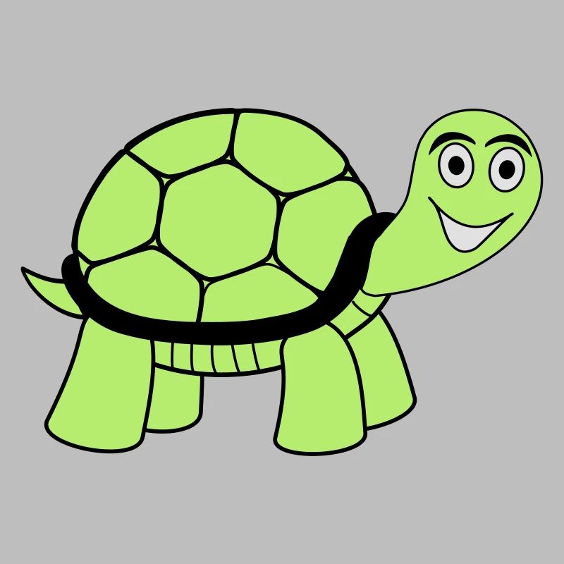 tortue