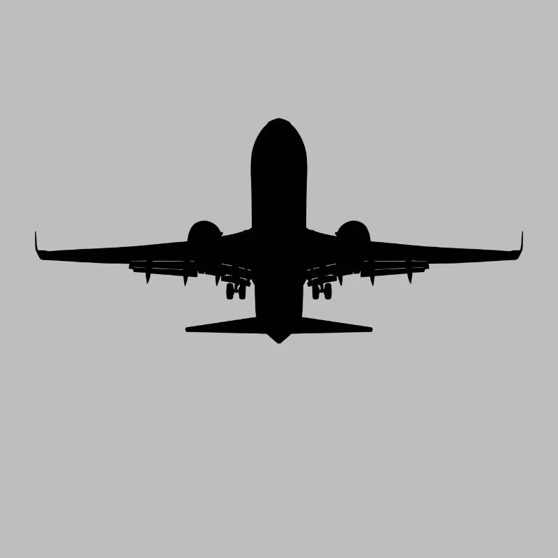 Flugzeug