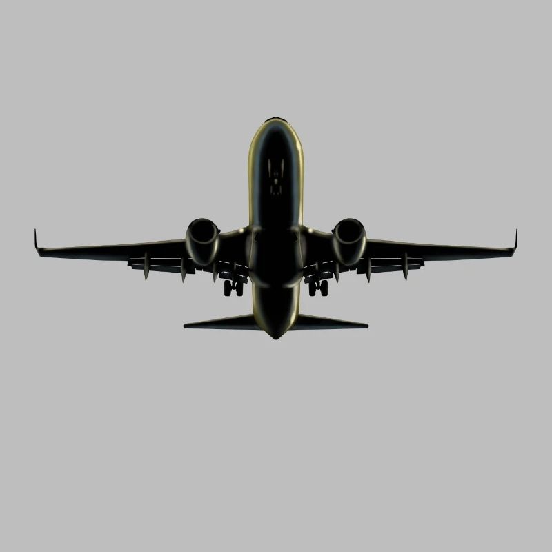 Flugzeug