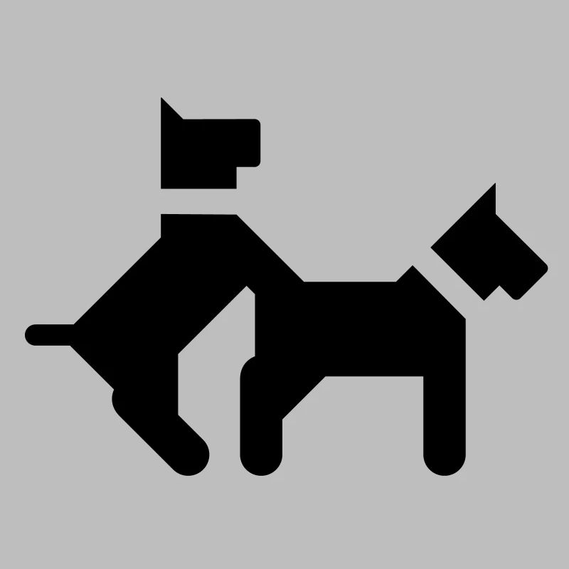 Baise des chiens