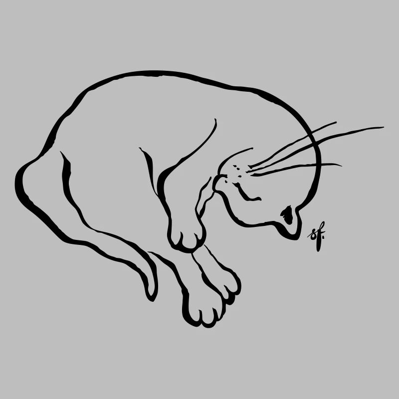Mon petit chat se remet