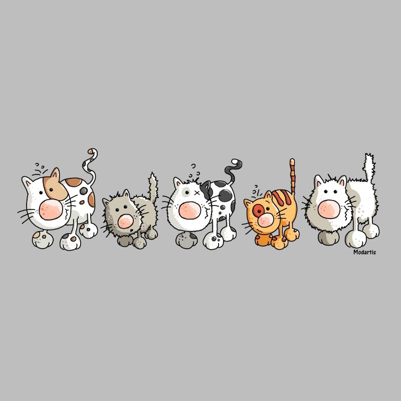 Chats drôles - Chat
