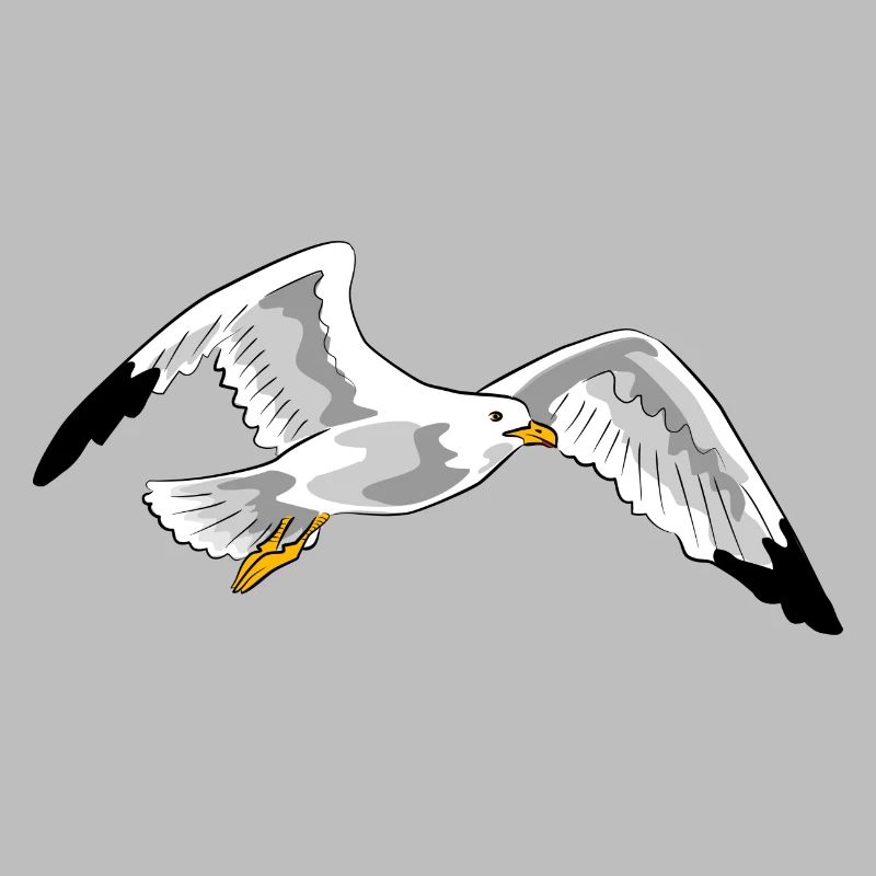 gull