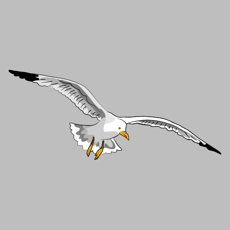 mouette