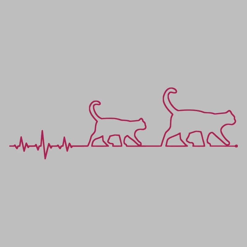 ekg katze