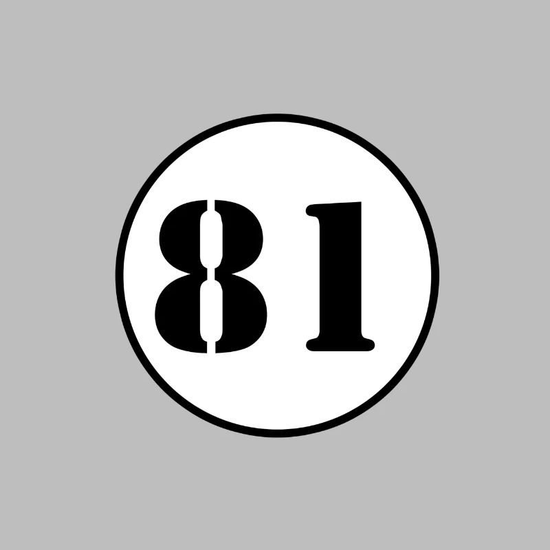 NUMBER 81 eighty one birthday gift