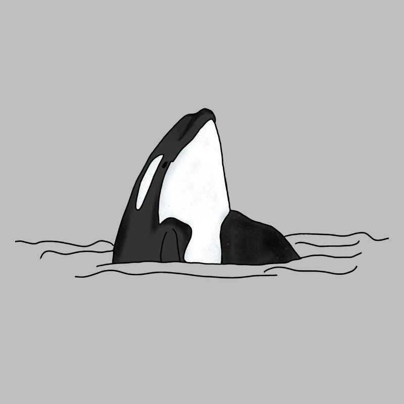 Killer whale