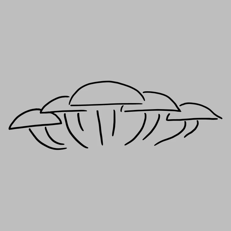 Groupe de champignons - Un groupe de champignons