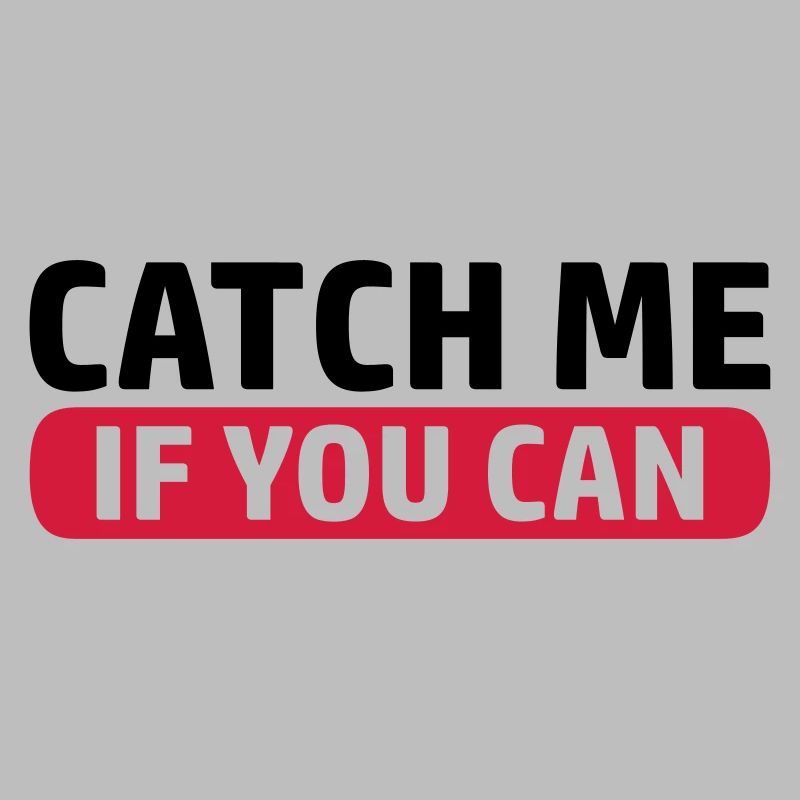 Jeu Catch Me