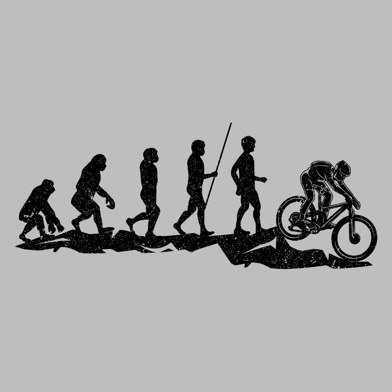 Vélo de montagne Evolution
