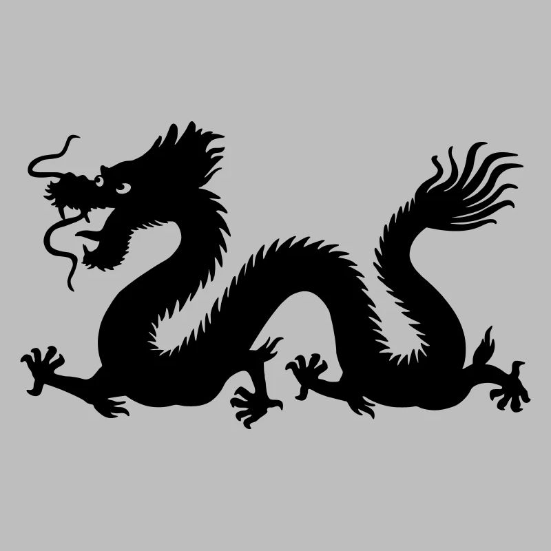 Image d’ombre de dragon année du dragon