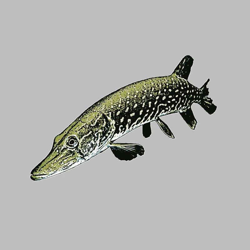 Pike Illustration – Realistic Predator Fish Desig